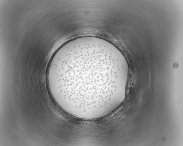 X0000093090099200710241209
