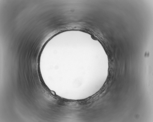 X0000093090100200710241208