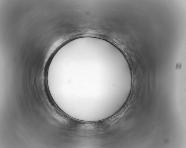 X0000093090102200710241208