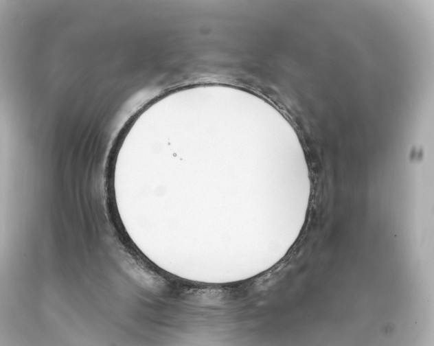 X0000093090104200710241208