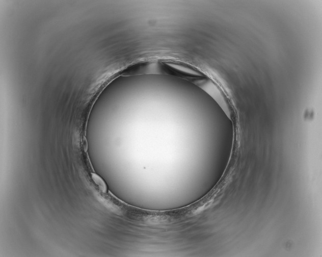 X0000093090105200710241208