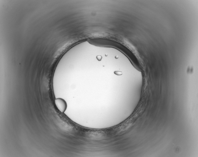 X0000093090106200710241208
