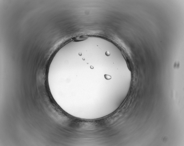 X0000093090107200710241208