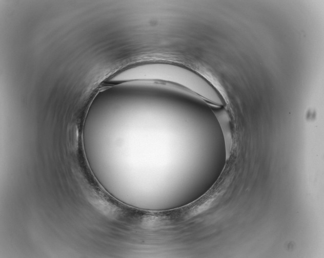 X0000093090109200710241208