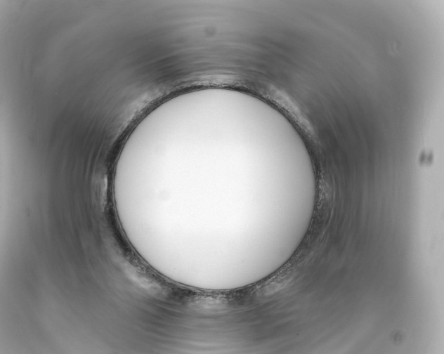 X0000093090110200710241208