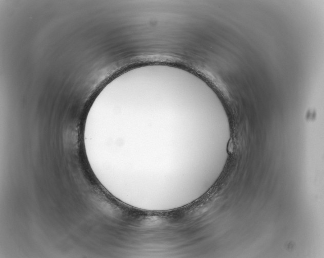 X0000093090111200710241208