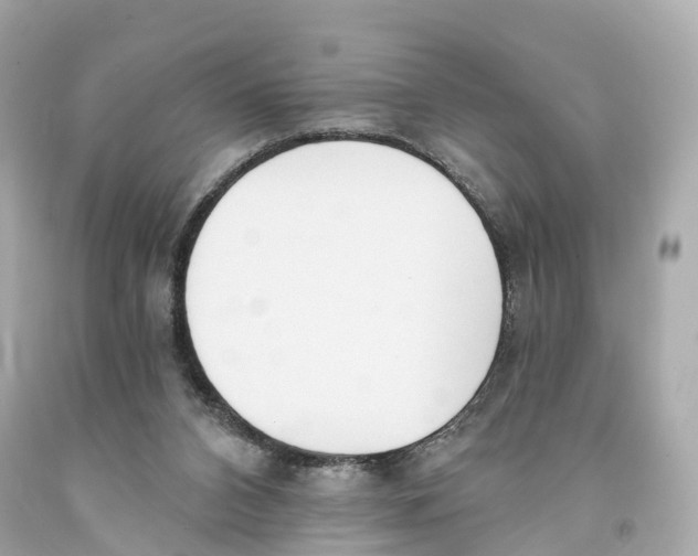 X0000093090112200710241208