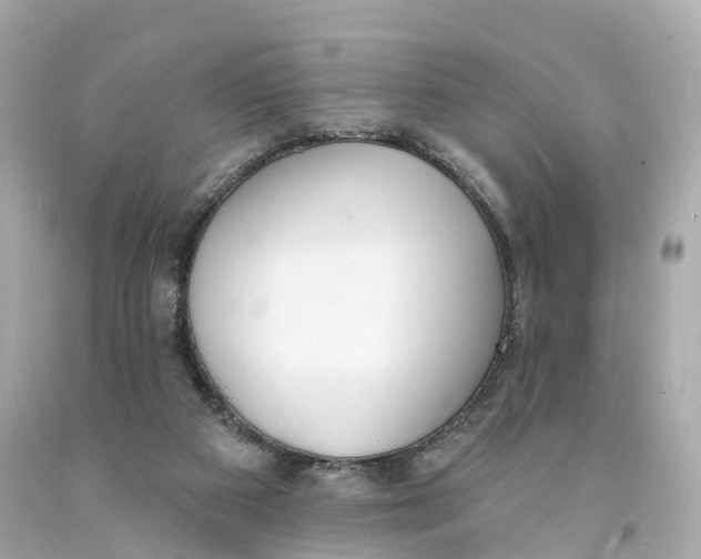 X0000093090113200710241208