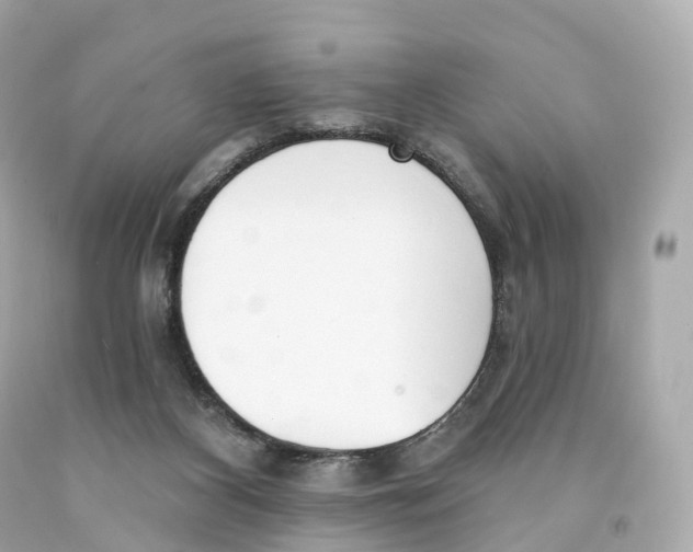 X0000093090116200710241208
