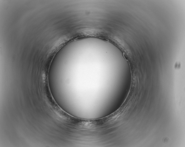 X0000093090117200710241208