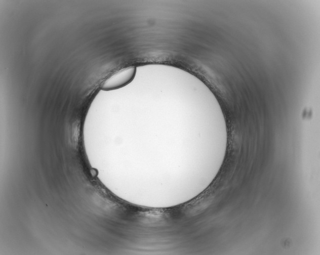 X0000093090118200710241208