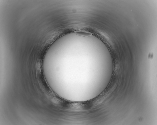 X0000093090121200710241208