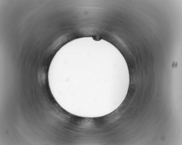 X0000093090124200710241208