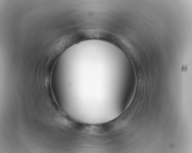 X0000093090125200710241208