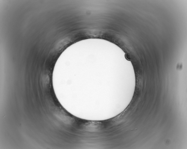 X0000093090128200710241208
