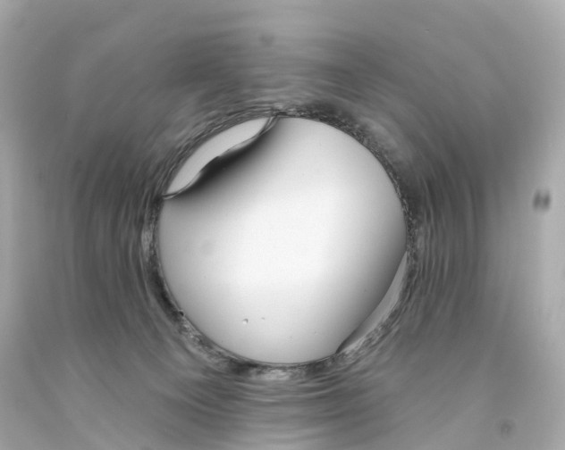 X0000093090129200710241208
