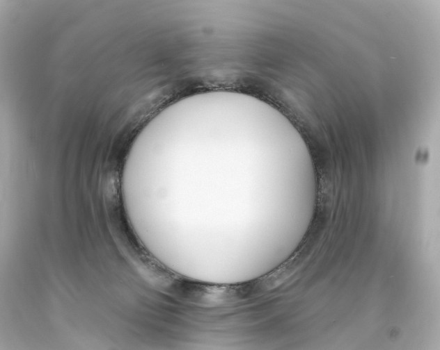 X0000093090130200710241208