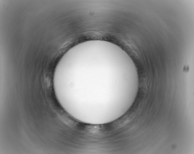 X0000093090131200710241208