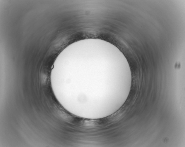 X0000093090134200710241208