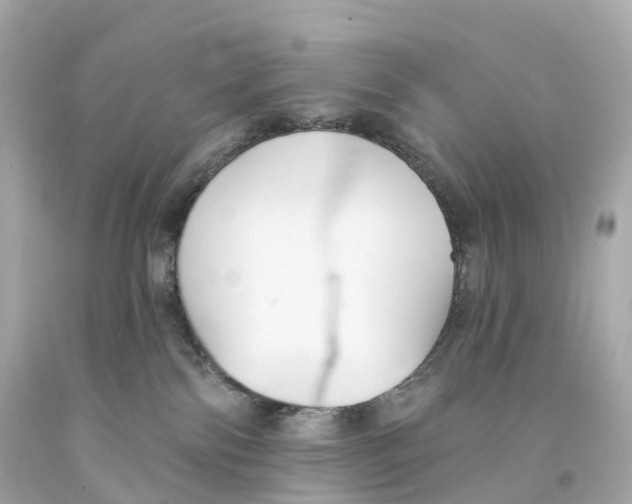 X0000093090138200710241208