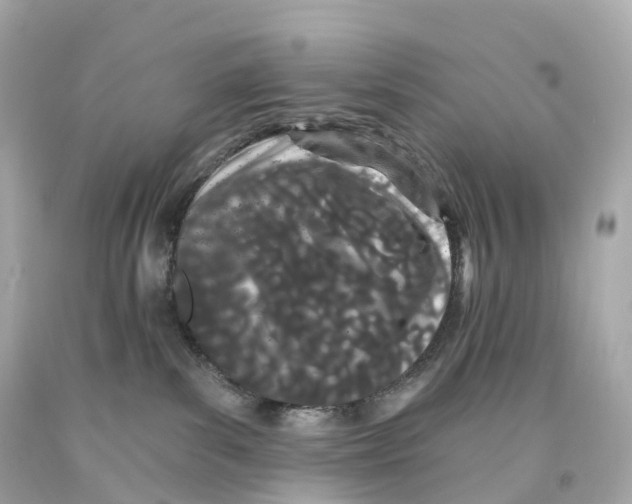 X0000093090139200710241208