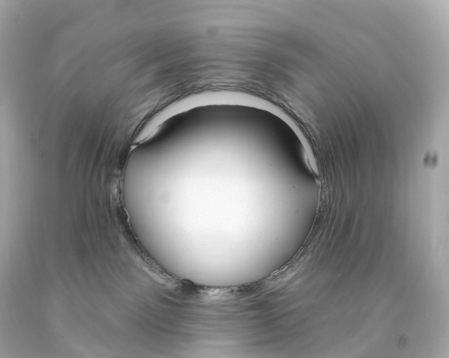 X0000093090141200710241208