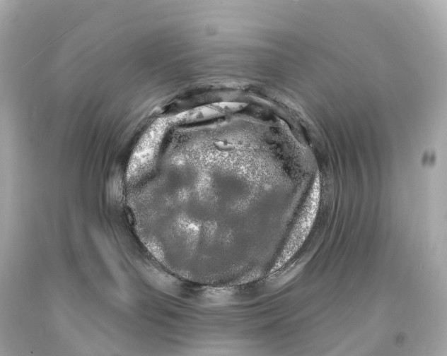 X0000093090143200710241208