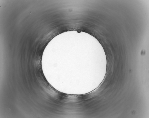 X0000093090144200710241208