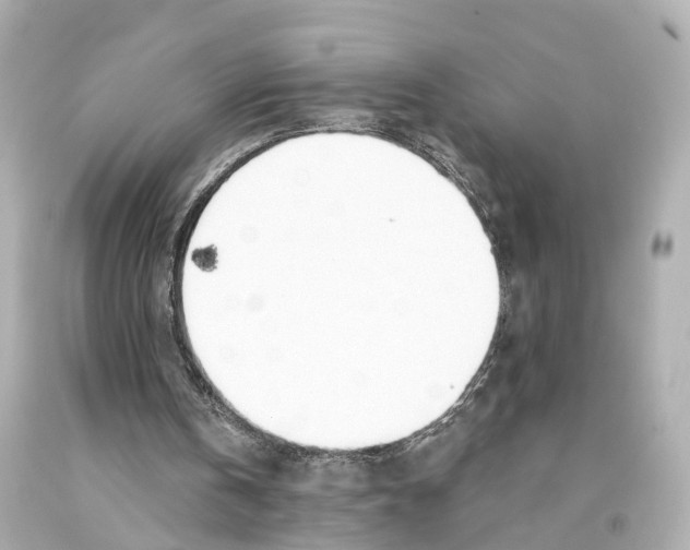 X0000093090146200710241207