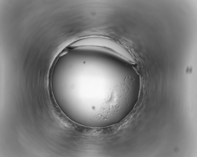 X0000093090148200710241207