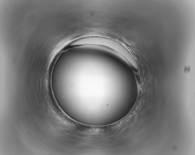 X0000093090152200710241207
