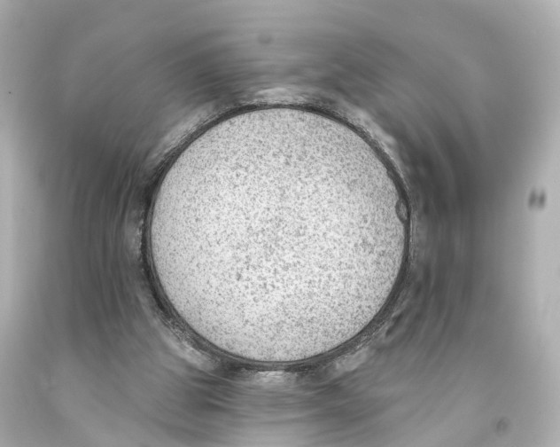 X0000093090153200710241207