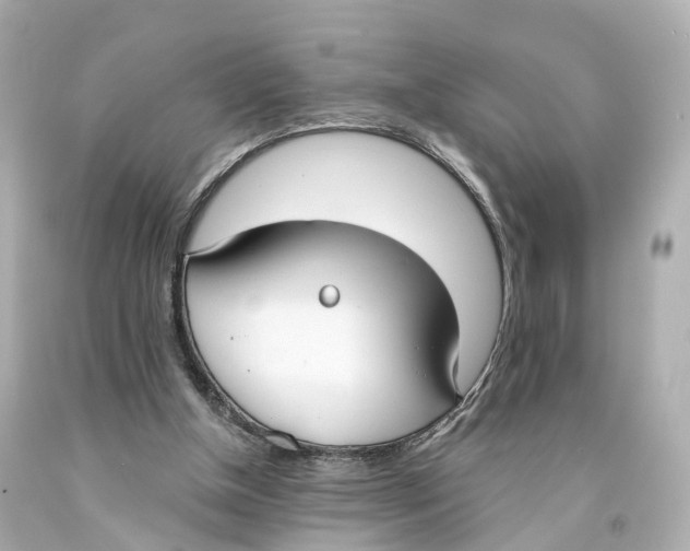 X0000093090154200710241207