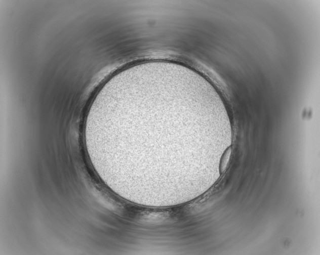X0000093090155200710241207