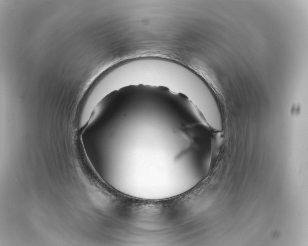 X0000093090156200710241207