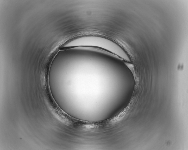 X0000093090158200710241208