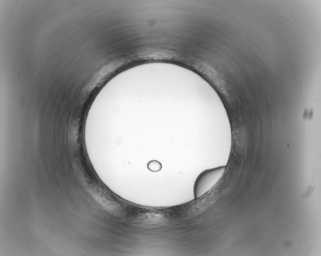 X0000093090159200710241208