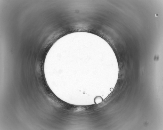 X0000093090162200710241208