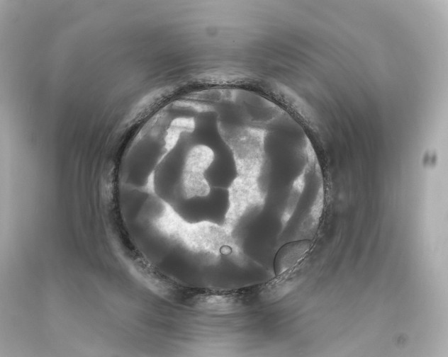 X0000093090163200710241208