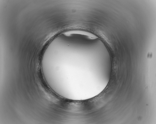 X0000093090164200710241208