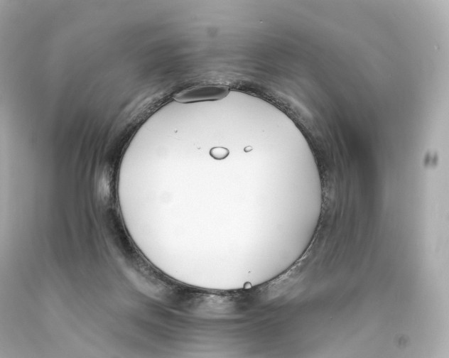 X0000093090166200710241208
