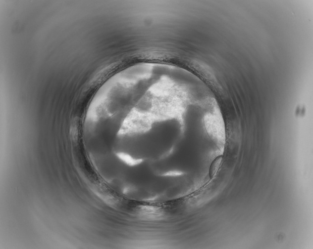 X0000093090167200710241208