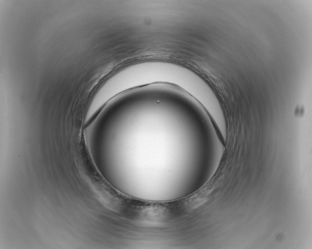X0000093090168200710241208