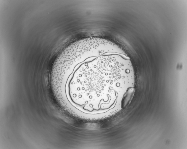 X0000093090169200710241208
