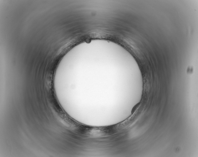 X0000093090171200710241208