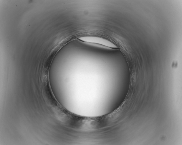 X0000093090172200710241208