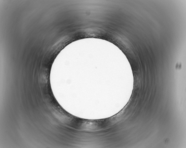 X0000093090174200710241208