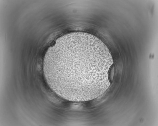 X0000093090175200710241208