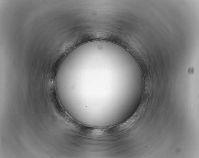 X0000093090176200710241208