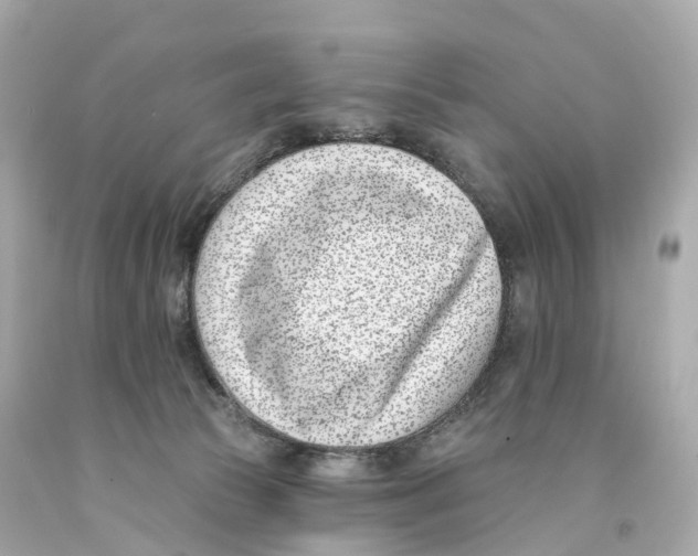 X0000093090177200710241208
